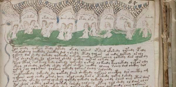 manoscritto voynich cover