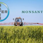 bayer Monsanto