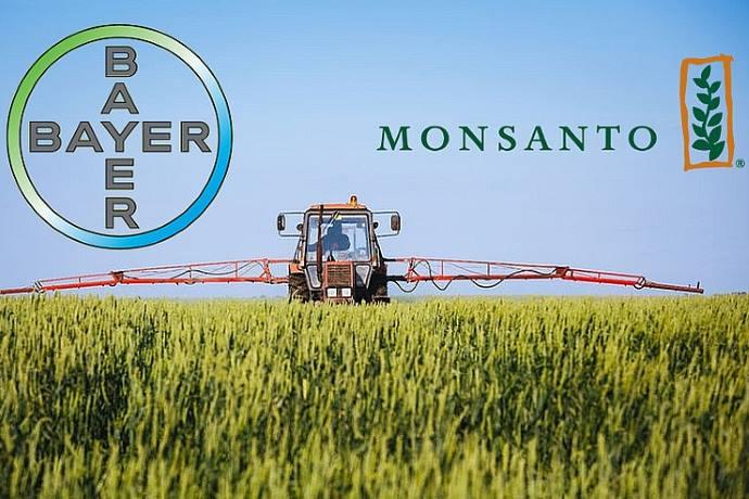 bayer Monsanto