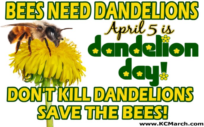 dandelions bees