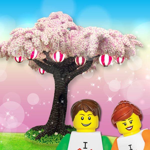 Una coppia lego davanti a un albero di ciliegio in fiore.