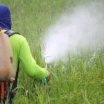 pesticidi ricorso neonicotinoidi respinto