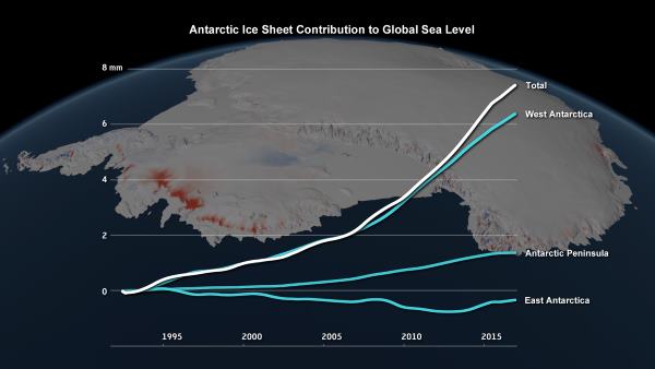 grafico antartitide