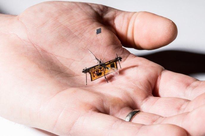 insetti robot wireless