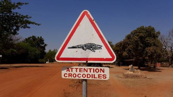 bazoule crocodiles 32
