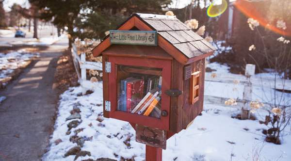 Little Free Libraries 7