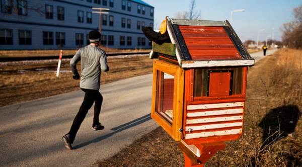 Little Free Libraries 8