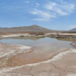 pioggia deserto di Atacama