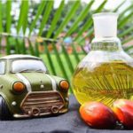 olio di palma diesel