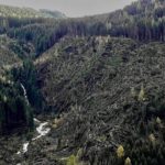 alberi sradicati Dolomiti