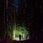 passeggiata bosco notte