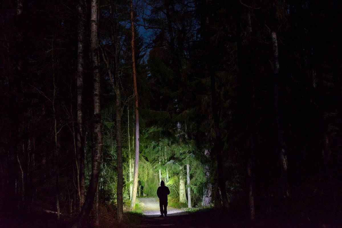 passeggiata bosco notte