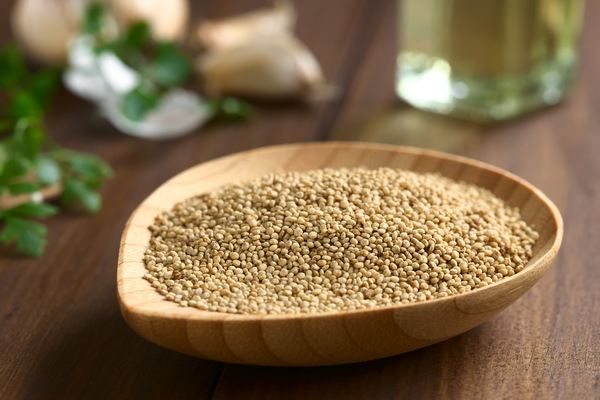 quinoa sostenibile