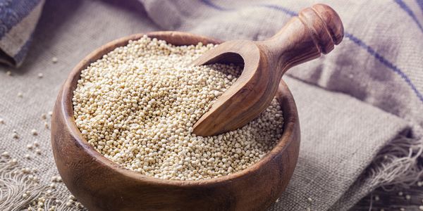 quinoa valori nutrizionali