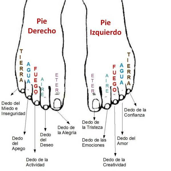 dita dei piedi significato