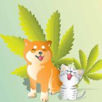 cannabis-cani-gatti