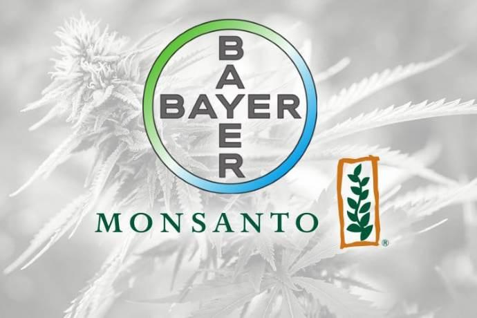 bayer-monsanto-cannabis