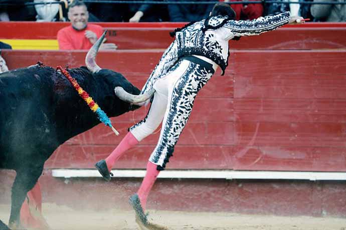 Il toro ha la meglio. Noto “matador” incornato a Valencia - greenMe