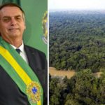 Bolsonaro renca