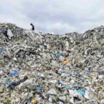 rapporto greenpeace export rifiuti