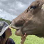 bacia-mucca-