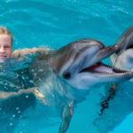 nuotare-delfini-