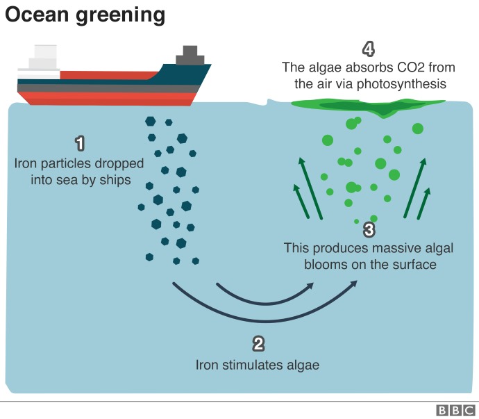 ocean greening