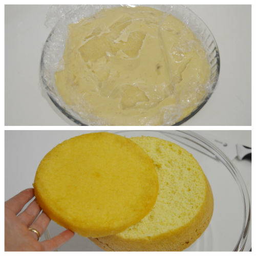 torta mimosa 2