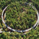 Pista ciclabile nel bosco in Belgio