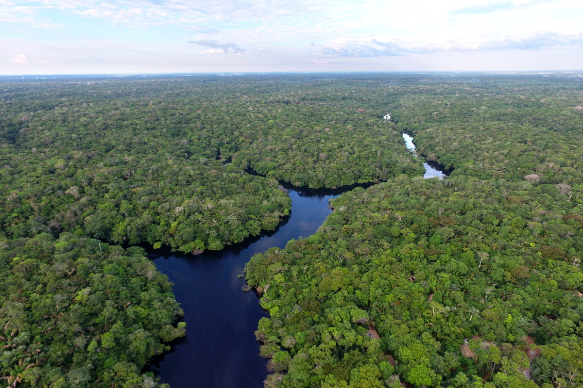 Foresta amazzonica