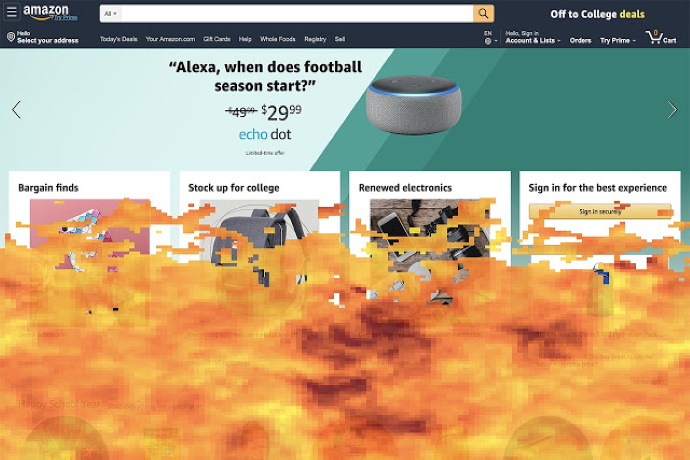 Amazon is burning