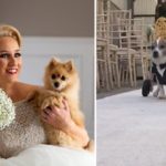 Matrimonio con cani