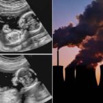 inquinamento-feto