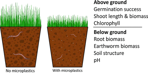 Microplastiche nel suolo