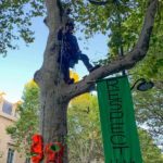 Protesta su un albero in Francia
