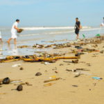 Sindaco getta rifiuti sulla spiaggia a Seoul