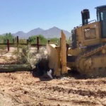 Distruzione cactus Arizona