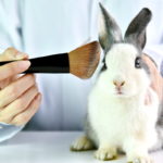 Test dei cosmetici sugli animali