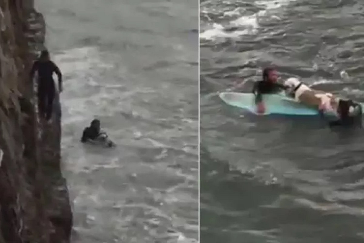 Surfisti salvano cane