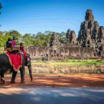 Elefanti tour vietati in Cambogia