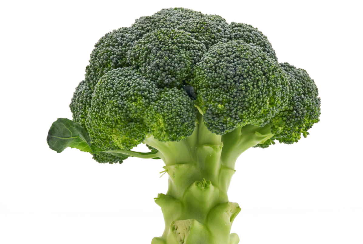 broccolo-