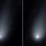 cometa di natale 2019
