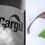 cargill produce stevia sintetica