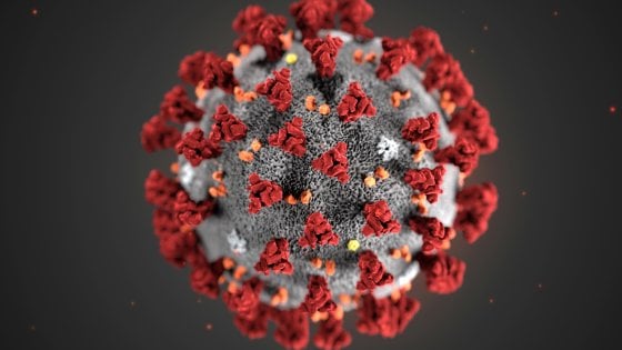 immagine coronavirus