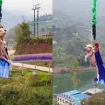 Maiale bungee jumping Cina