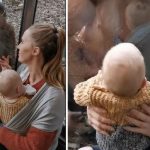 orango nello zoo guarda madre mentre allatta