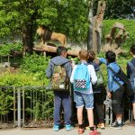 zoo gite scolastiche