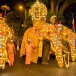 Elefanti Sri Lanka