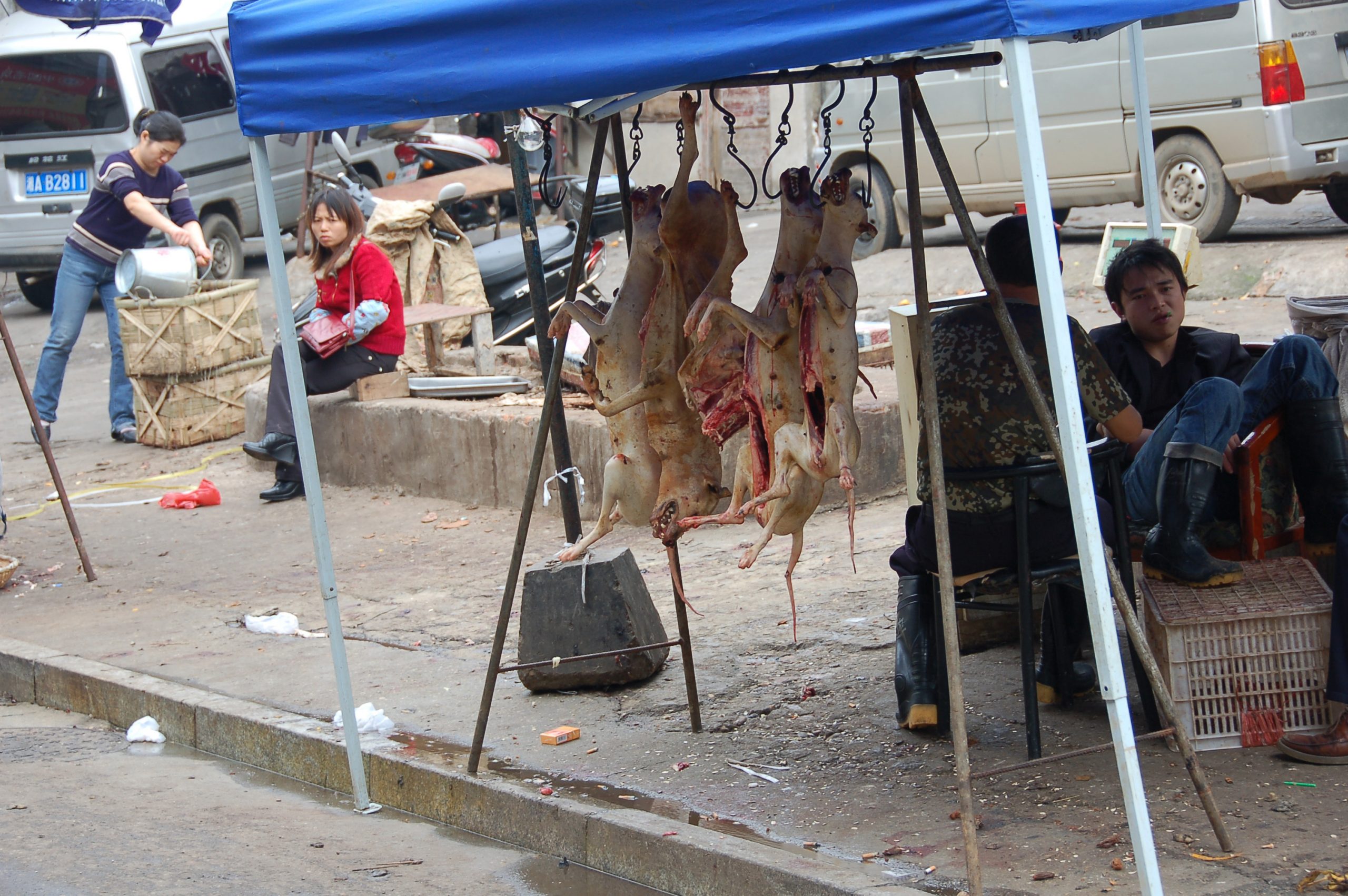 Vendita di carne di cane nel sud della China