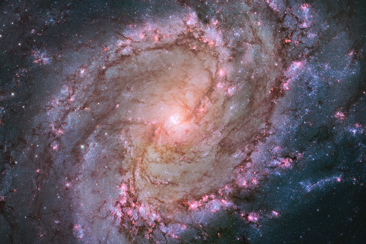 galassia m83